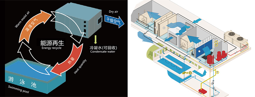 普派克泳池恒温恒湿系统