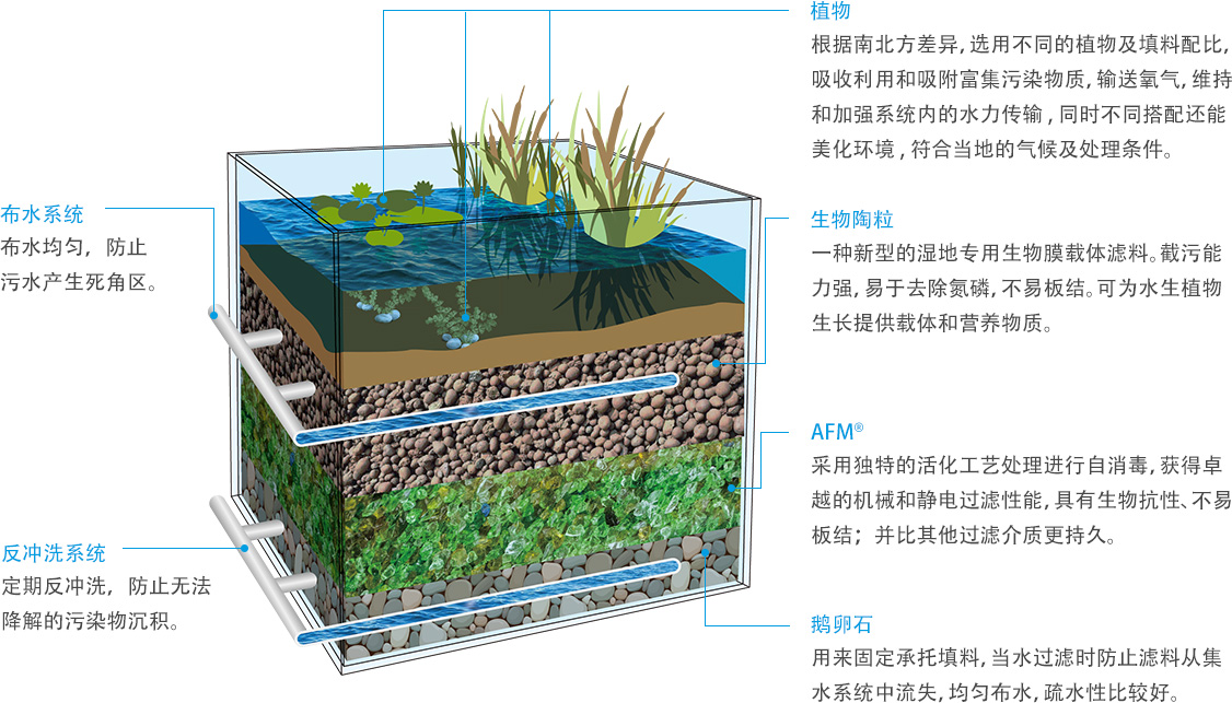 戴思乐海绵城市湿地